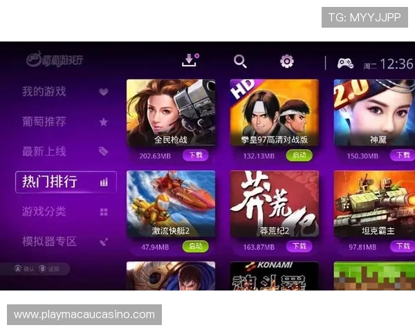 安全可靠的角子机游戏下载渠道，保障玩家游戏体验与资金安全