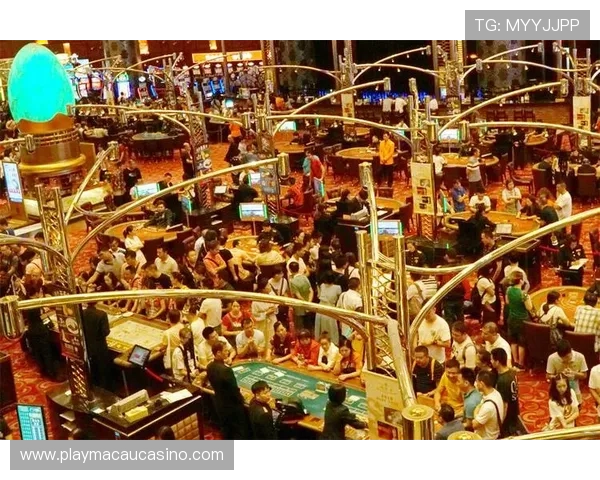 新葡京娱乐:探索最新的娱乐资讯与优惠活动,打造属于你的尊贵娱乐体验 新葡京娱乐:探索最新的娱乐资讯与优惠活动,打造属于你的尊贵娱乐体验