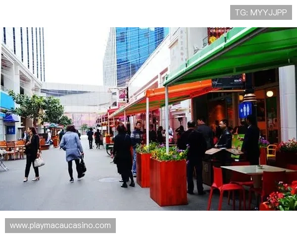 澳门百老汇网站链接导航大全，帮助用户轻松找到澳门百老汇官方平台入口