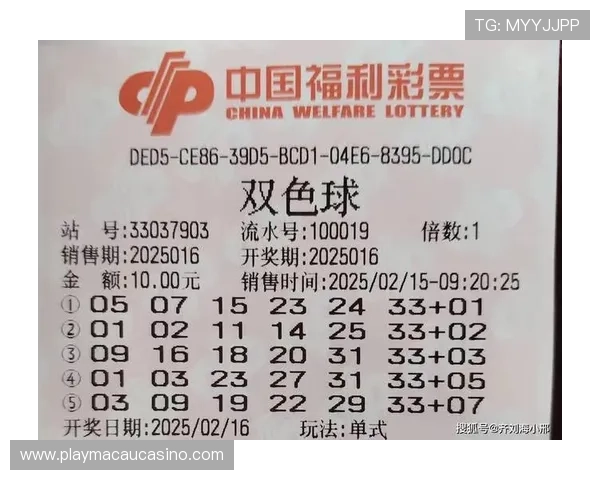 六合彩手机版下载最新版本，安全稳定操作指南，轻松开启您的彩票投注体验